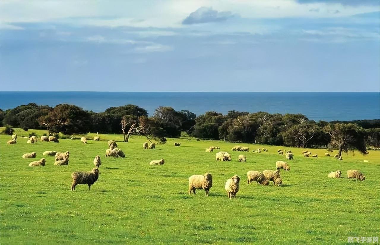 进阶畜牧业,打造手游中的牧场帝国