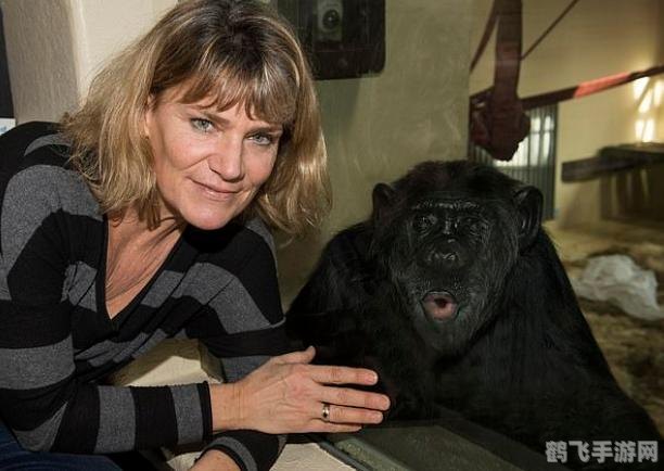 摩尔庄园弗兰克,摩尔庄园弗兰克角色深度解析与攻略