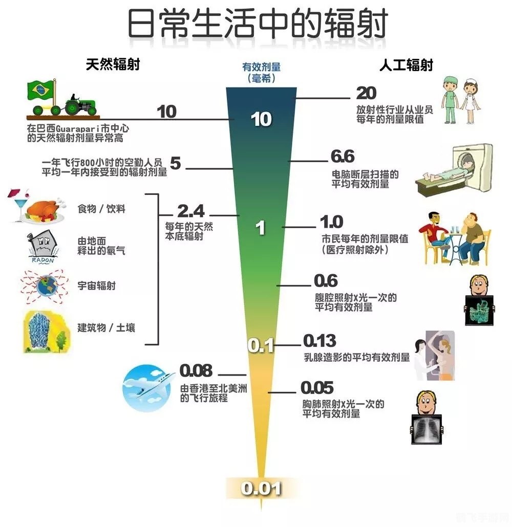 核爆辐射尘生存指南