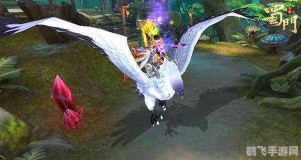 大话水浒比翼鸟骑术,大话水浒,比翼鸟骑术全攻略