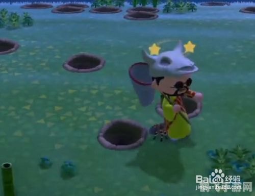 动物森友会,巧妙捕捉狼蛛,蟋蟀玩家的非电子冒险