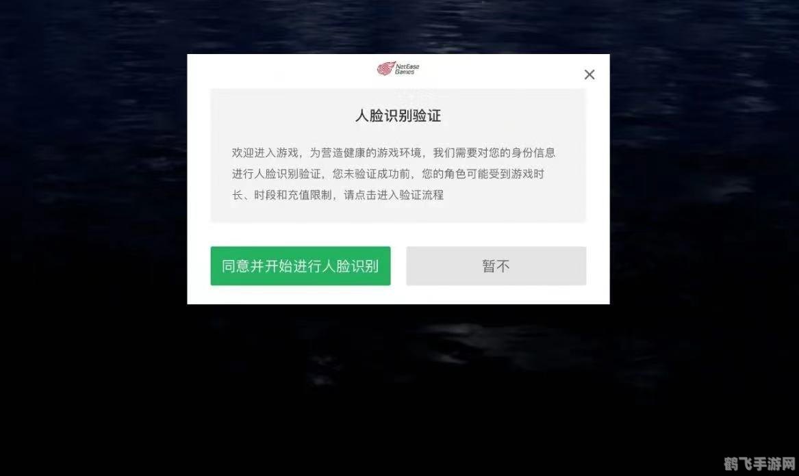 手游实名验证后的新世界，深度玩法与攻略