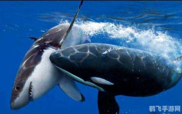 迅雷极速版,迅雷极速版手游攻略,极速下载,畅游手游世界