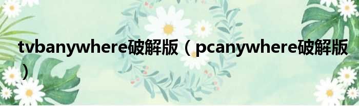 PCAnywhere中文版手游攻略，玩转虚拟世界