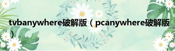 PCAnywhere中文版手游攻略,玩转虚拟世界
