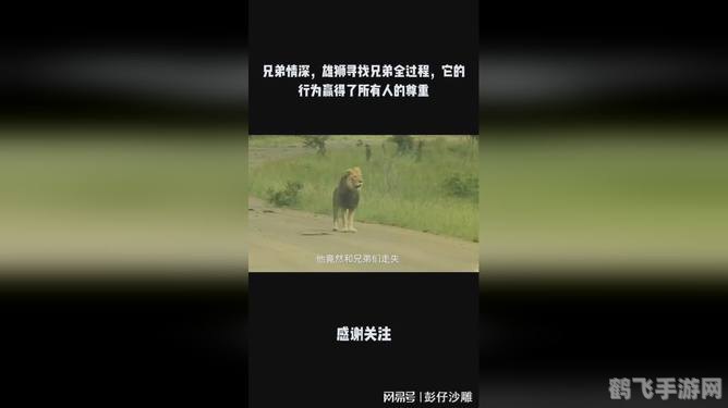 兄弟情深,寻找失散多年的兄弟