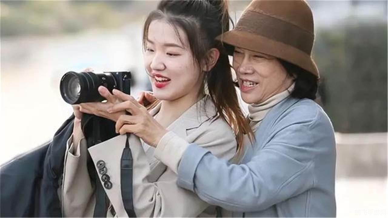 挖坑大师攻略,手游玩法详解与必胜技巧