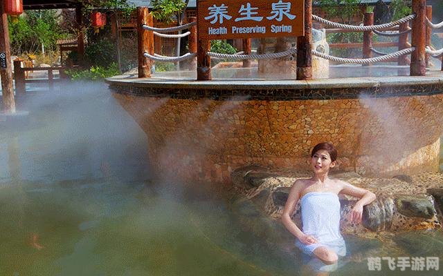 双人射击小游戏大全,携手并进,共享射击乐趣