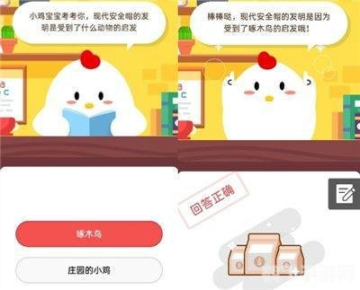 今日小鸡庄园答题的答案,小鸡庄园答题攻略,轻松获取每日答案,手游玩法大揭秘!