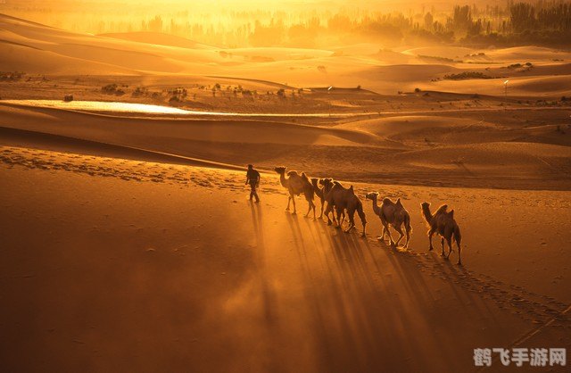 被称为沙漠之舟的动物是什么,驾驭沙漠之舟,开启手游探险之旅