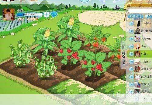 qq农场种什么赚钱快,QQ农场赚钱秘籍,揭秘种植何种作物收益最高