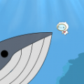 水族猫2