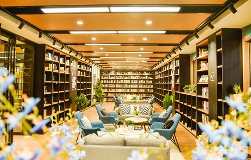 御书房海棠书院手游攻略,书香浸染的战斗与智慧