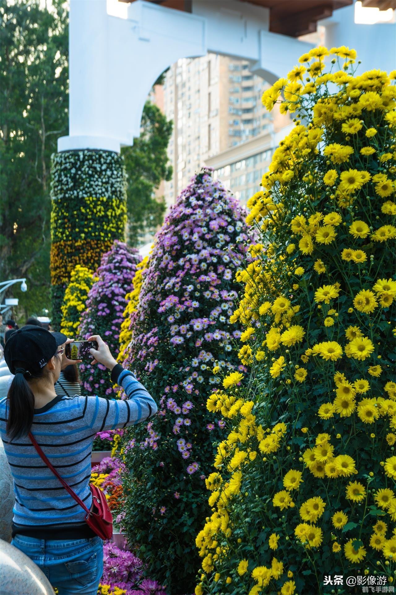 DNF盛世狂欢称号攻略，获取与选择指南