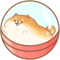 胖胖面包犬