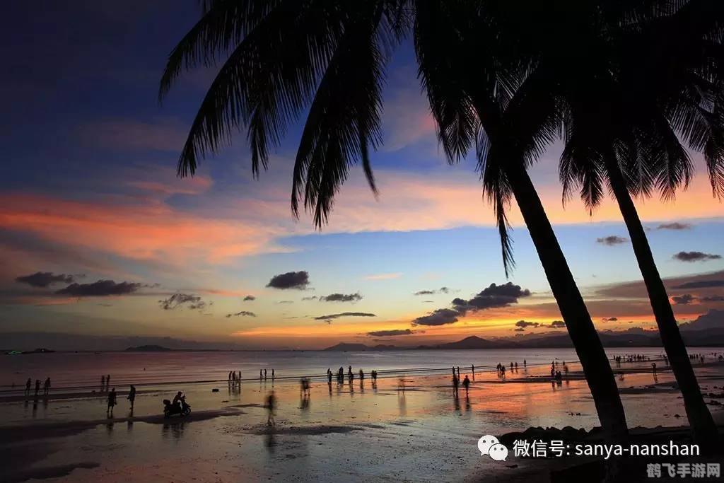 性感沙滩3手游攻略,探索热带天堂,尽享阳光与海滩的乐趣