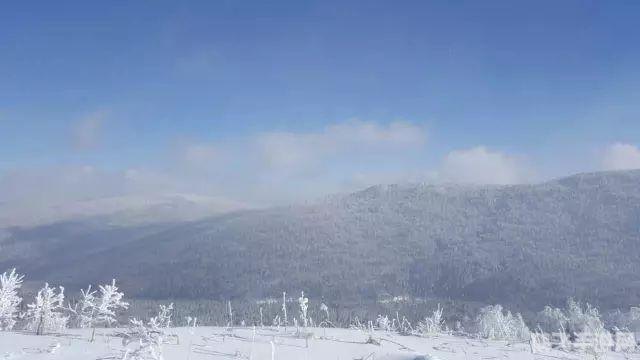 艳阳天大雪纷飞,艳阳天大雪纷飞，冬日奇景探索游戏攻略