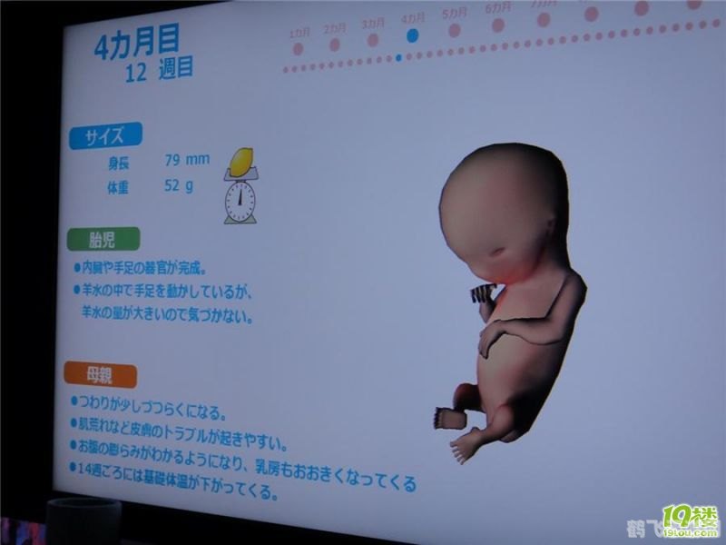 WindowsChannel孕手游攻略,孕育新生命,探索虚拟世界的奥秘