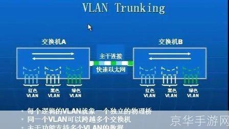 XX手游VLAN平台玩法攻略，打造你的专属游戏网络