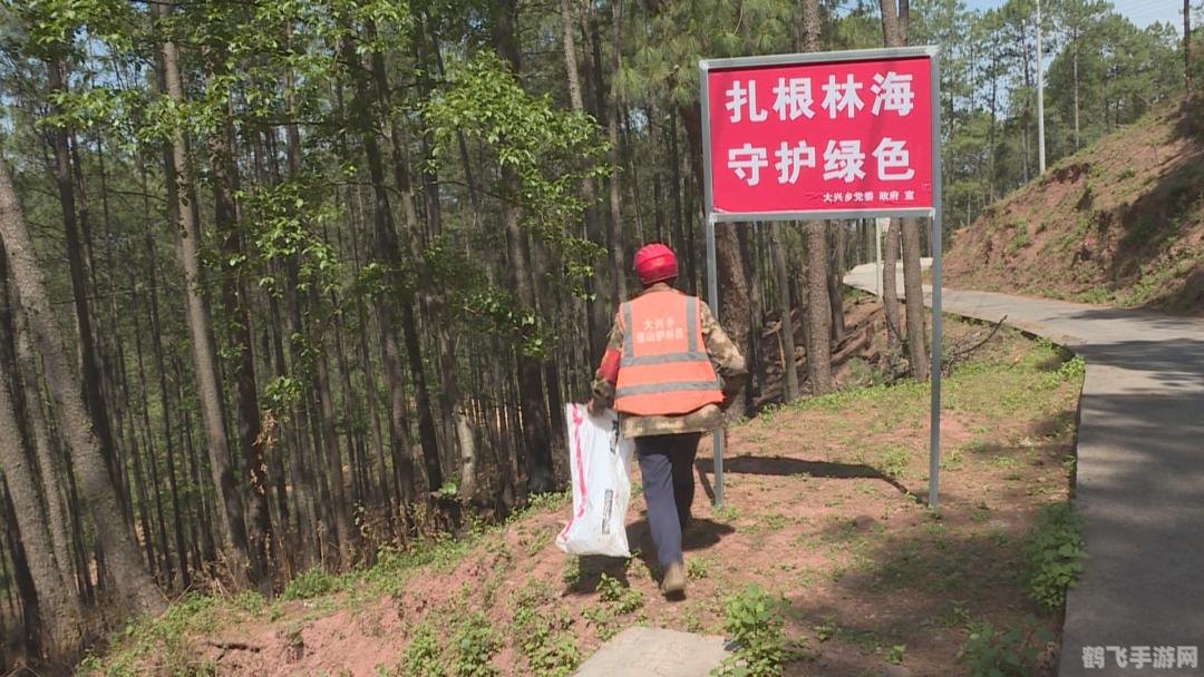 口袋妖怪护林员2手游攻略,成为顶级护林员的秘诀