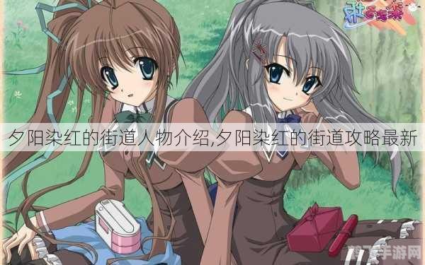 夕阳染红的街道手游攻略,漫步在红霞满天的世界