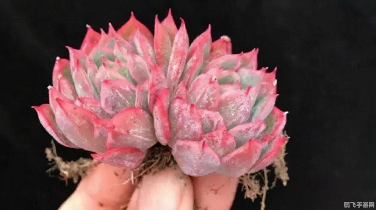 晒太阳穿什么颜色的衣服最好,晒太阳时,何种颜色衣服最佳选择?