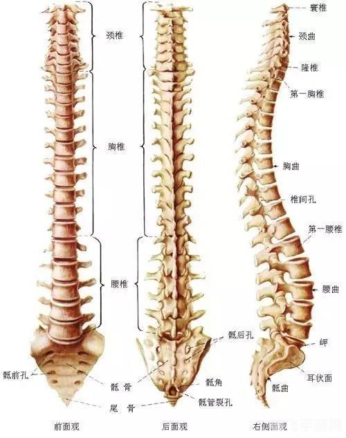 人体的汗液本身是什么味道,揭秘人体汗液之谜，原生味道探索