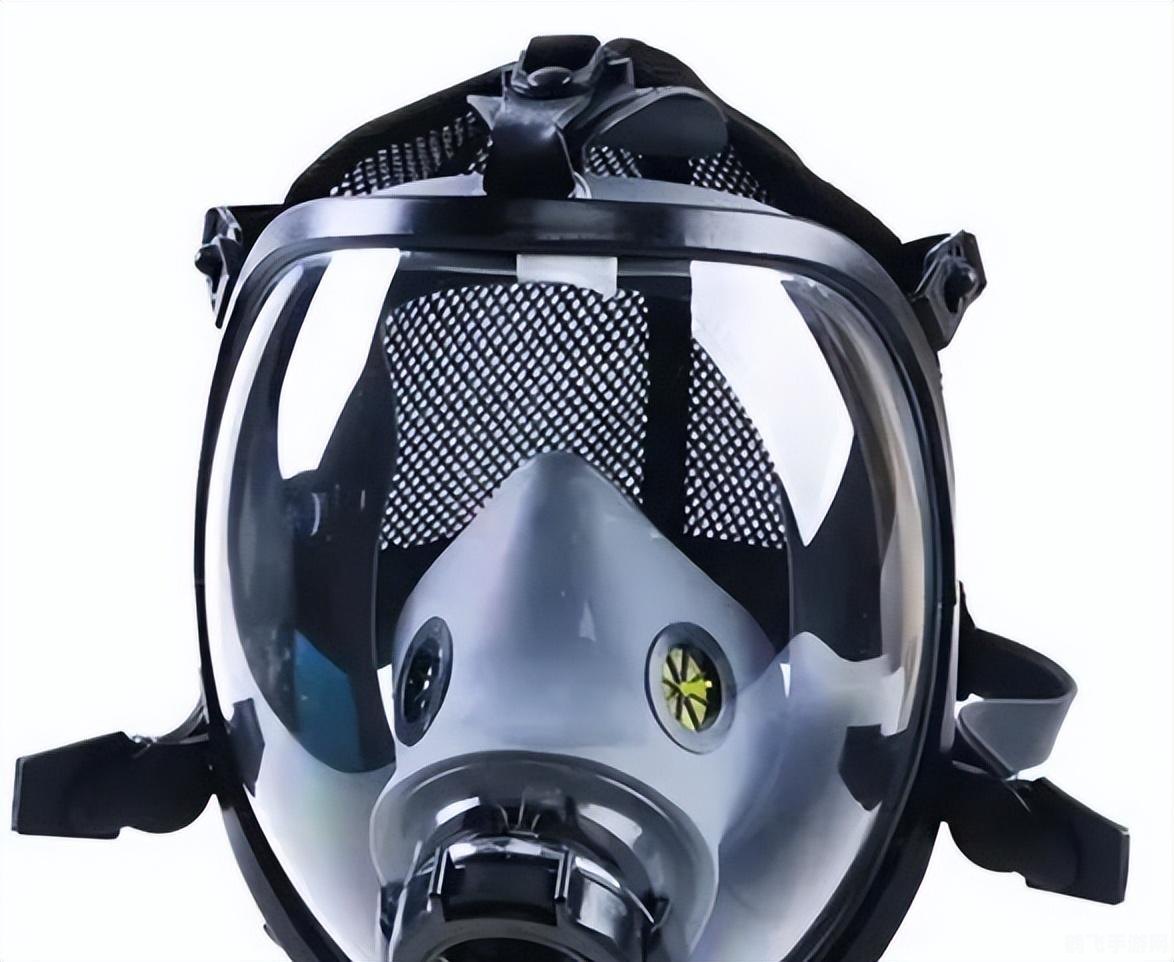 哪种动物启发发明了防毒面具,从野猪到防毒战士,防毒面具的灵感之源