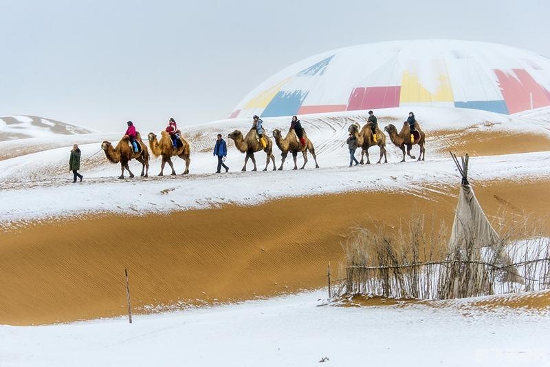 旅行世界是真的吗,旅行世界手游探秘，真实体验与攻略指南