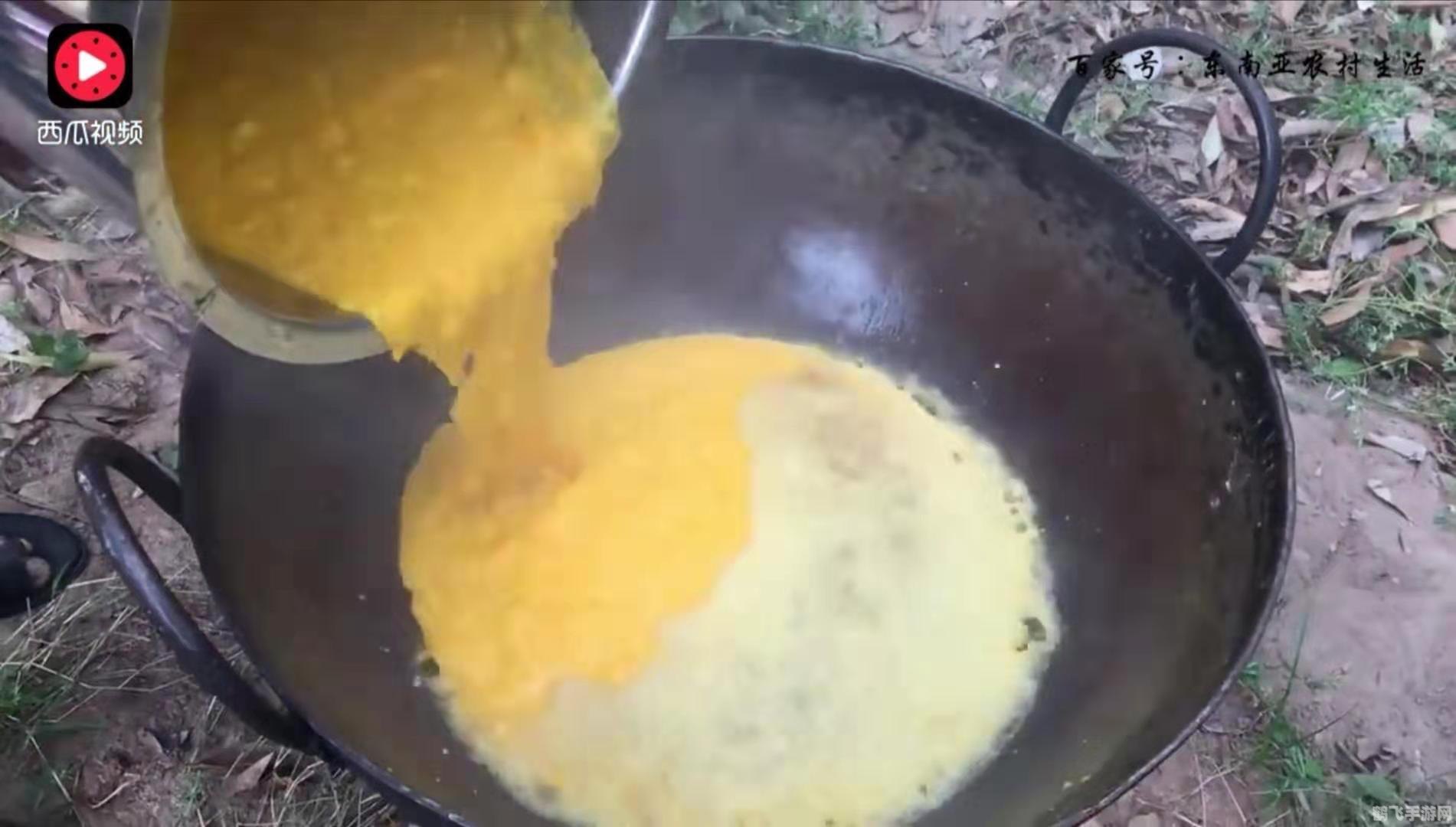 买的腰果为什么没有壳,揭秘无壳腰果之谜,探索手游腰果大冒险的玩法与攻略