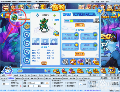 洛克王国东哥3.8版本,全面攻略,助你成为王国霸主