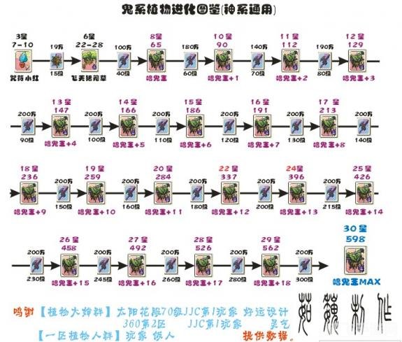 植物大战僵尸ol进化图,植物大战僵尸OL进化图指南，打造你的最强植物战队