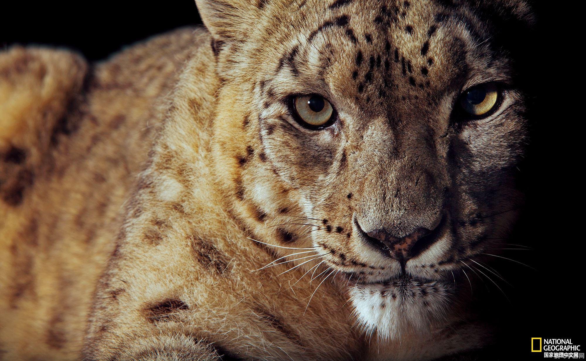 穿越火线幽灵猎手,熟悉地图