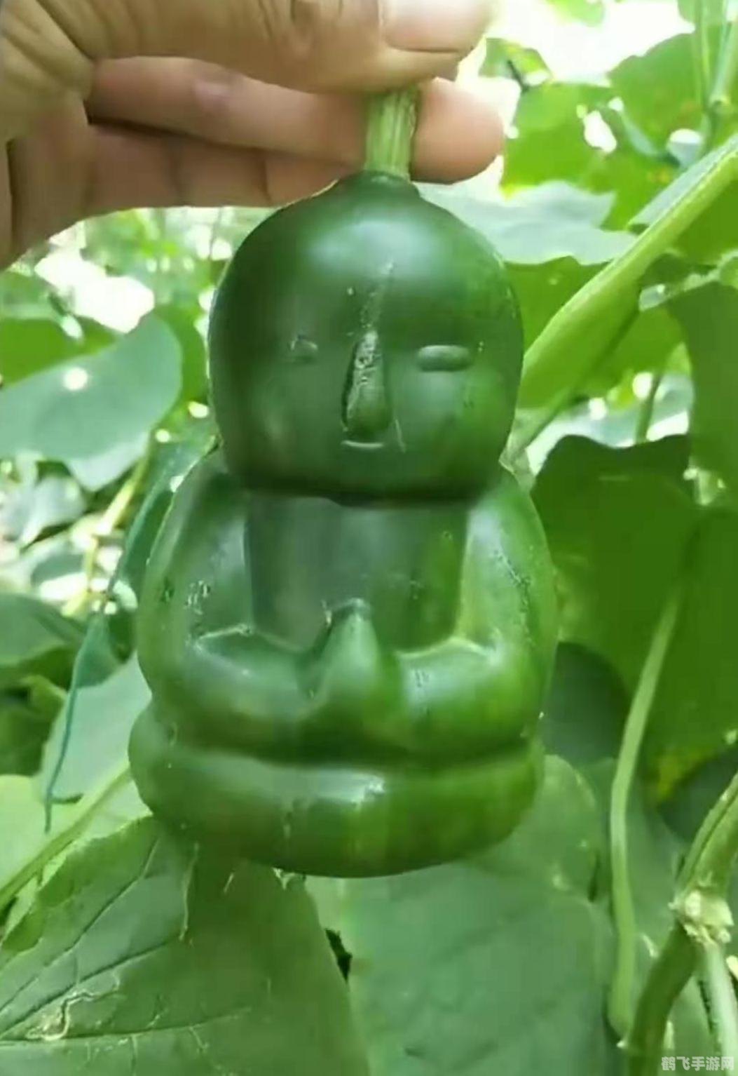 梦幻西游,人参果价格分析与购买攻略