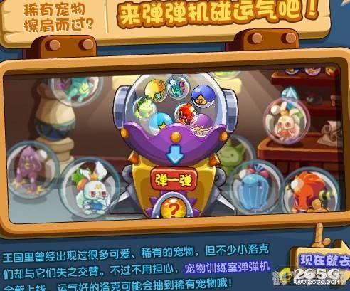 洛克王国游戏机代码攻略,解锁隐藏奖励,提升游戏体验