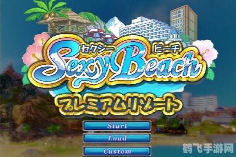 性感沙滩2手游攻略,享受阳光与海浪的浪漫之旅