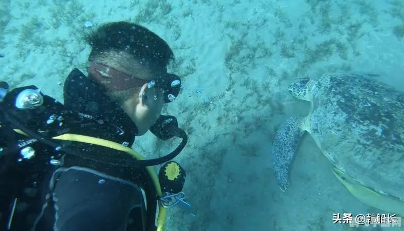 海藻有根吗,海藻生存游戏探秘,无根之生的奇幻漂流