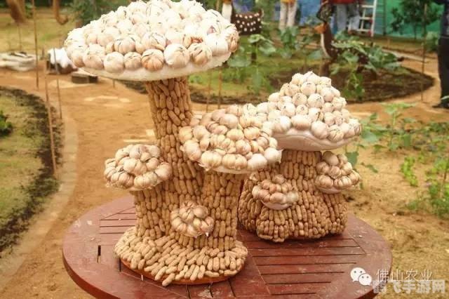 奇趣农场大冒险,蔬果大联盟手游攻略