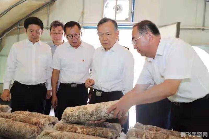 番茄Todo助力游戏时间管理,高效决策,玩转游戏世界!