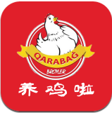 养鸡啦