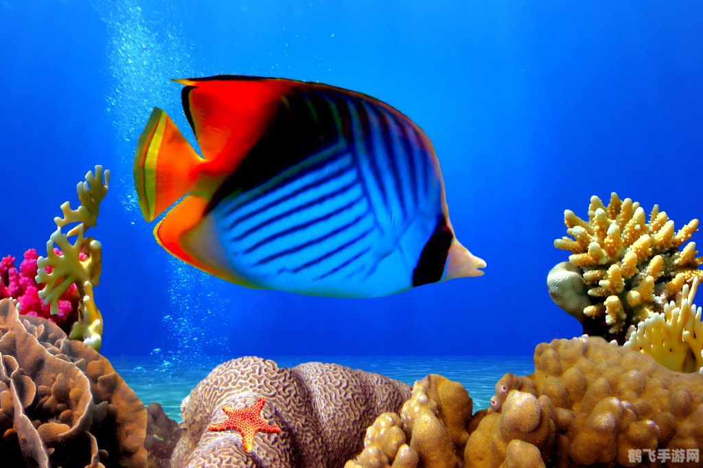 热带鱼屏保注册码攻略，畅游海底世界的秘诀