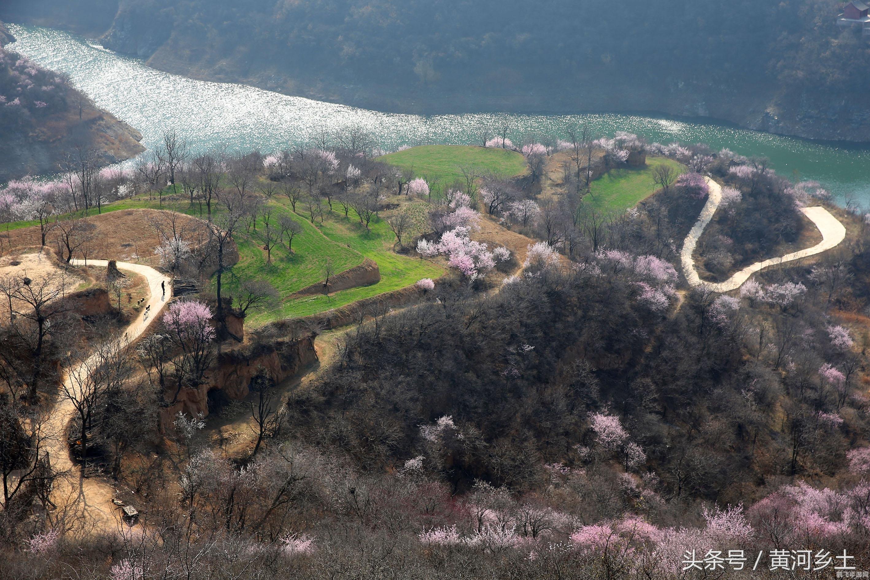 桃花源记手游攻略,探索桃花盛开的奇幻世界