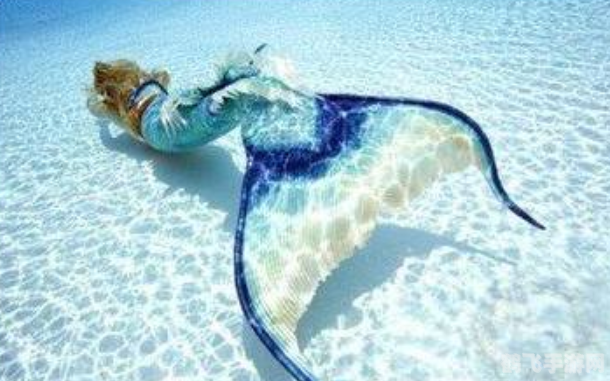 揭秘美人鱼,你所不知的海洋神秘生物