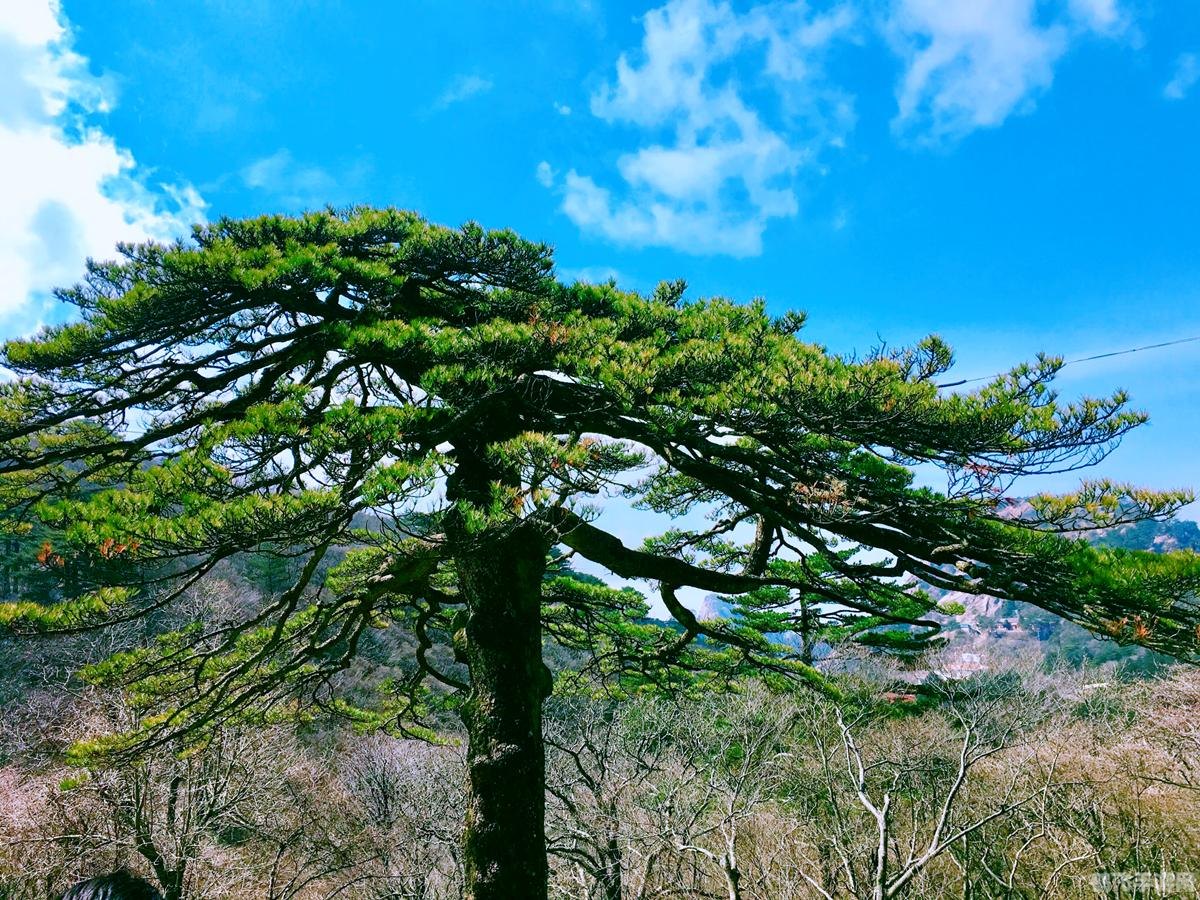 小怪物探险3,小怪物探险3深度探险攻略,挑战未知,解锁神秘宝藏!
