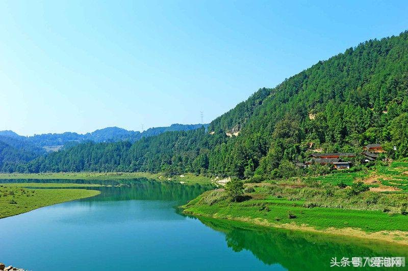 Tom365山寨版手游攻略,成为山寨之王的秘诀