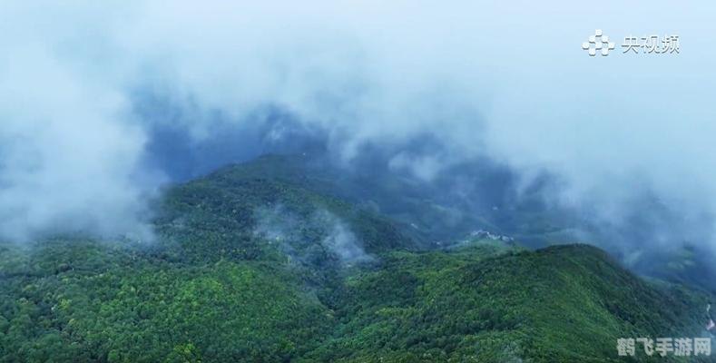 手机指南针软件,手机指南针软件,探险者的非电子冒险好帮手