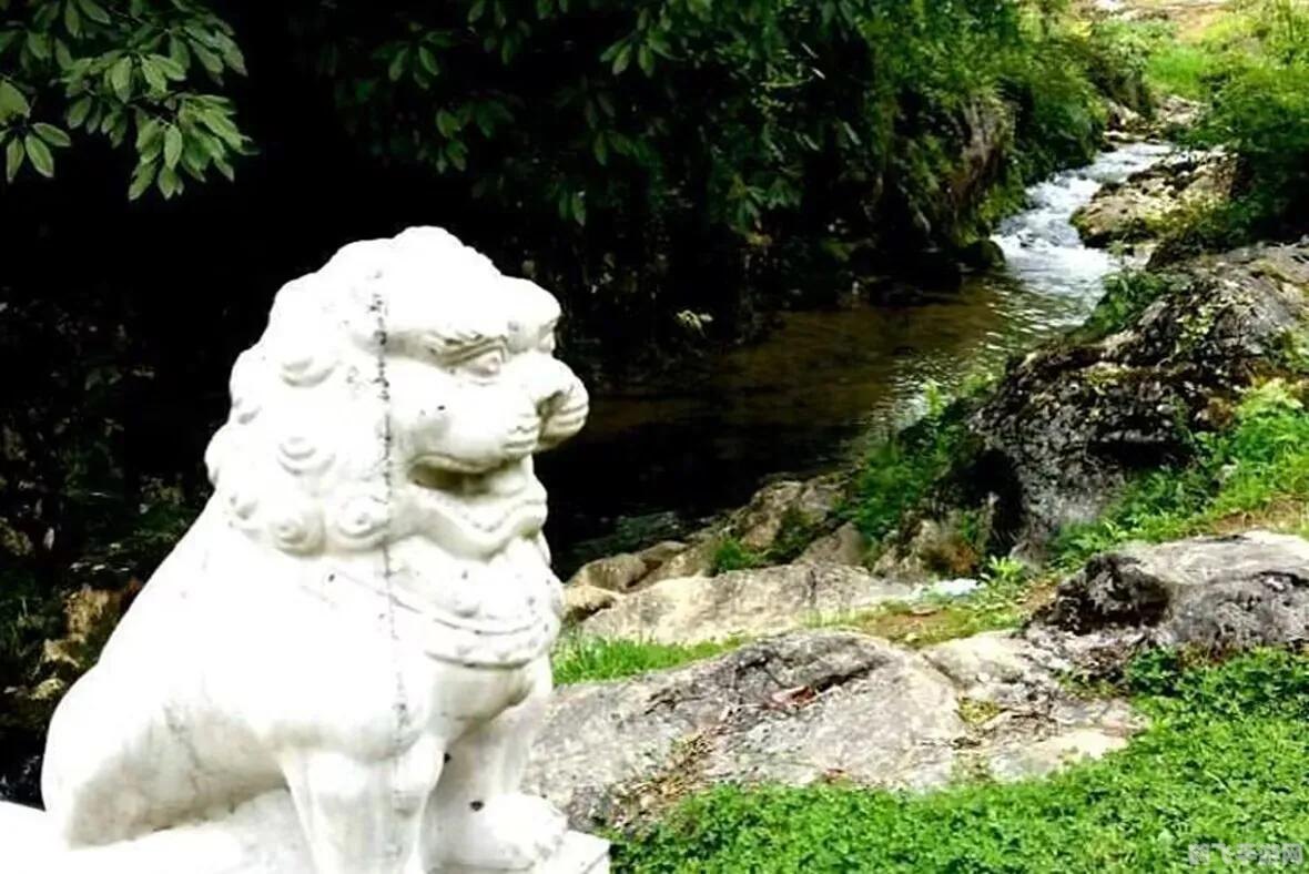 秘境探险,手游独自冒险攻略