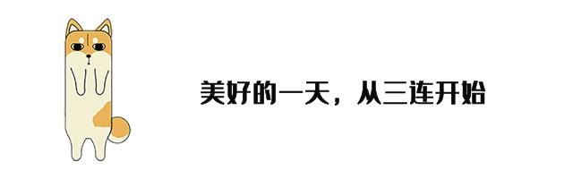 婴儿取名软件,婴儿取名宝典，智能软件助你轻松为宝宝取名，开启美好人生篇章！