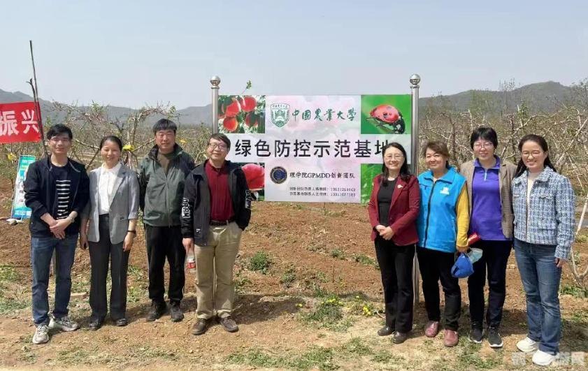 桃子移植的1000款黄油游戏,黄油游戏