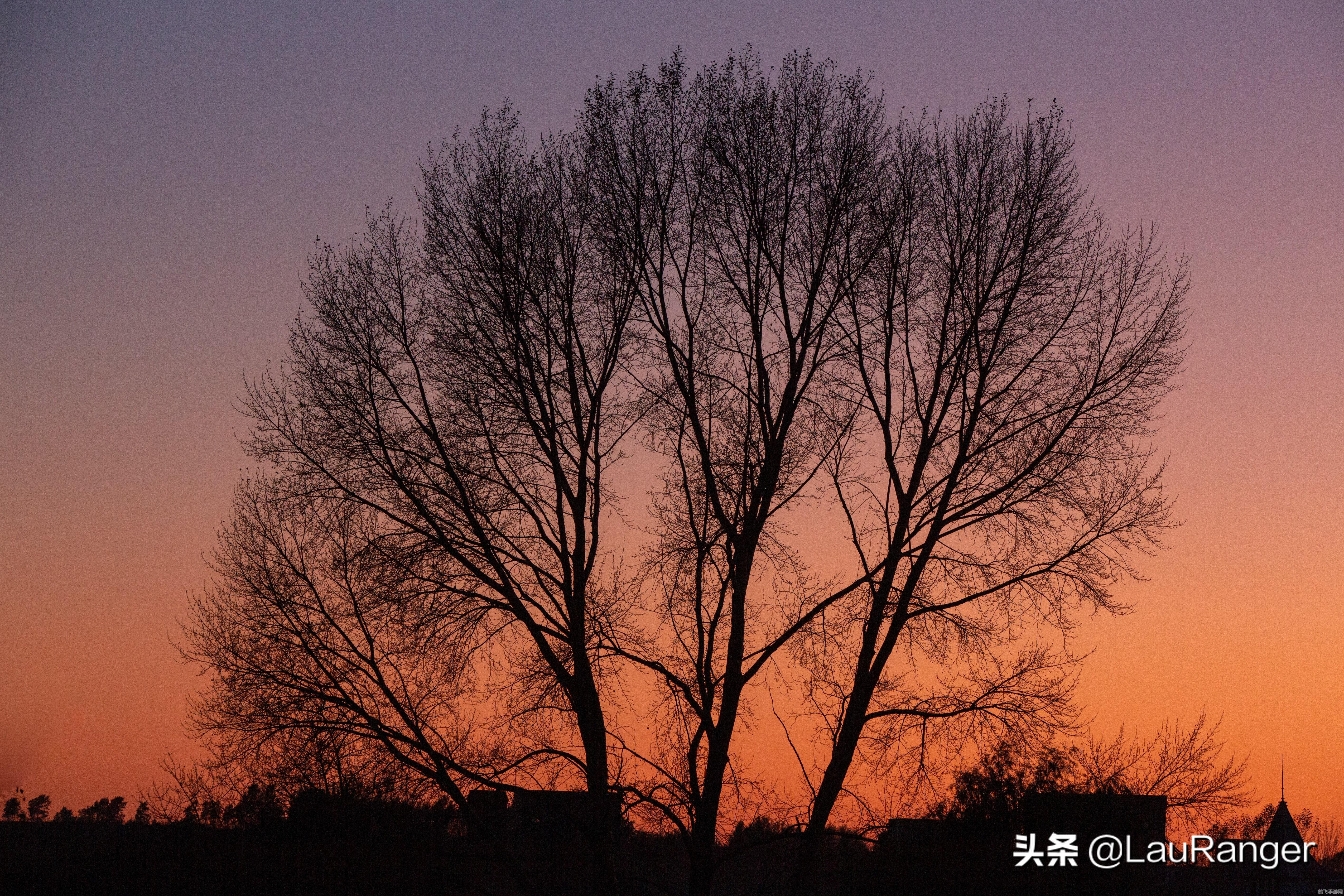 用洗面奶洗脸时泡沫蚂蚁庄园,蚂蚁庄园洗面奶泡沫大战攻略，打造清爽面容的同时赢得丰厚奖励！